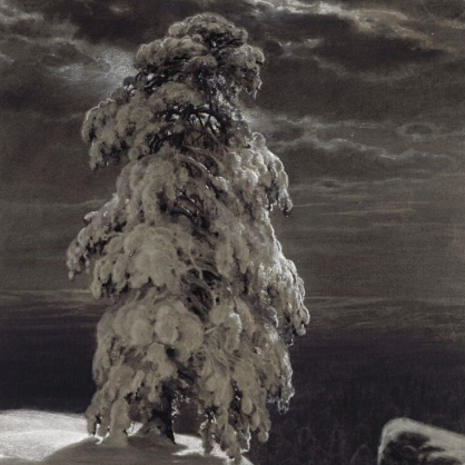 Шишкин Иван (1832-1898) «На севере диком...» 1890.