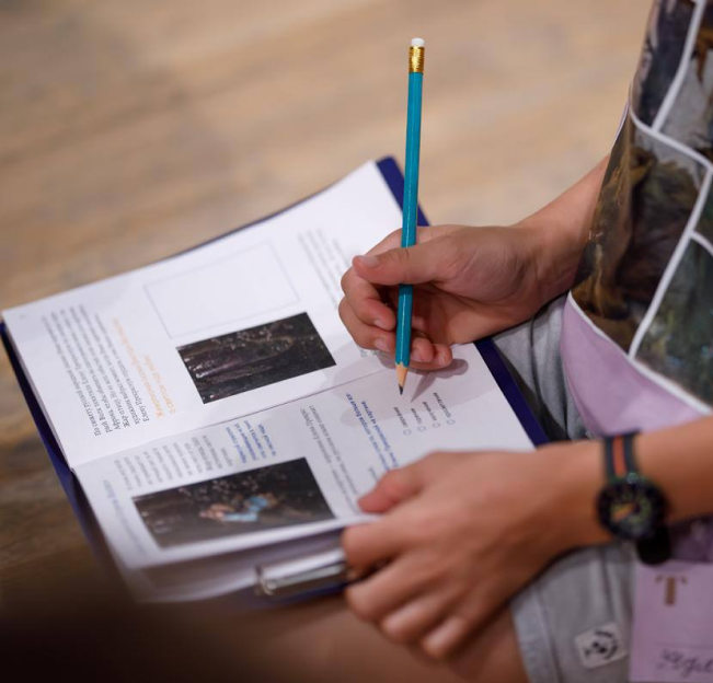 День за днем